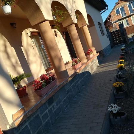 Nárcisz B&B Corund  Exterior foto