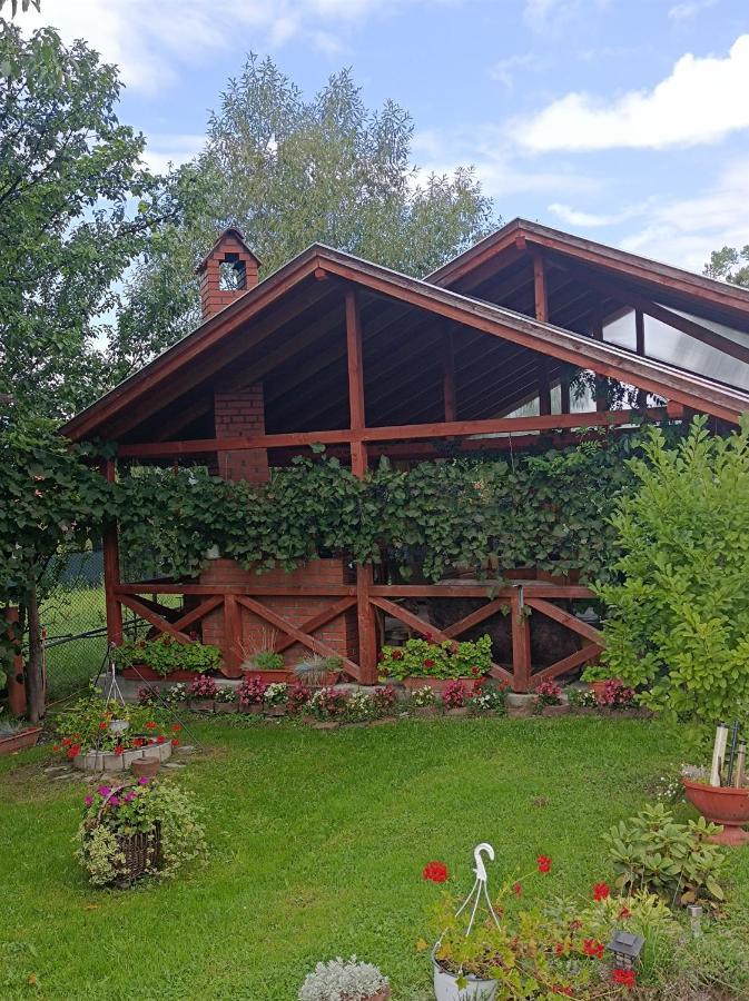 Nárcisz B&B Corund  Exterior foto