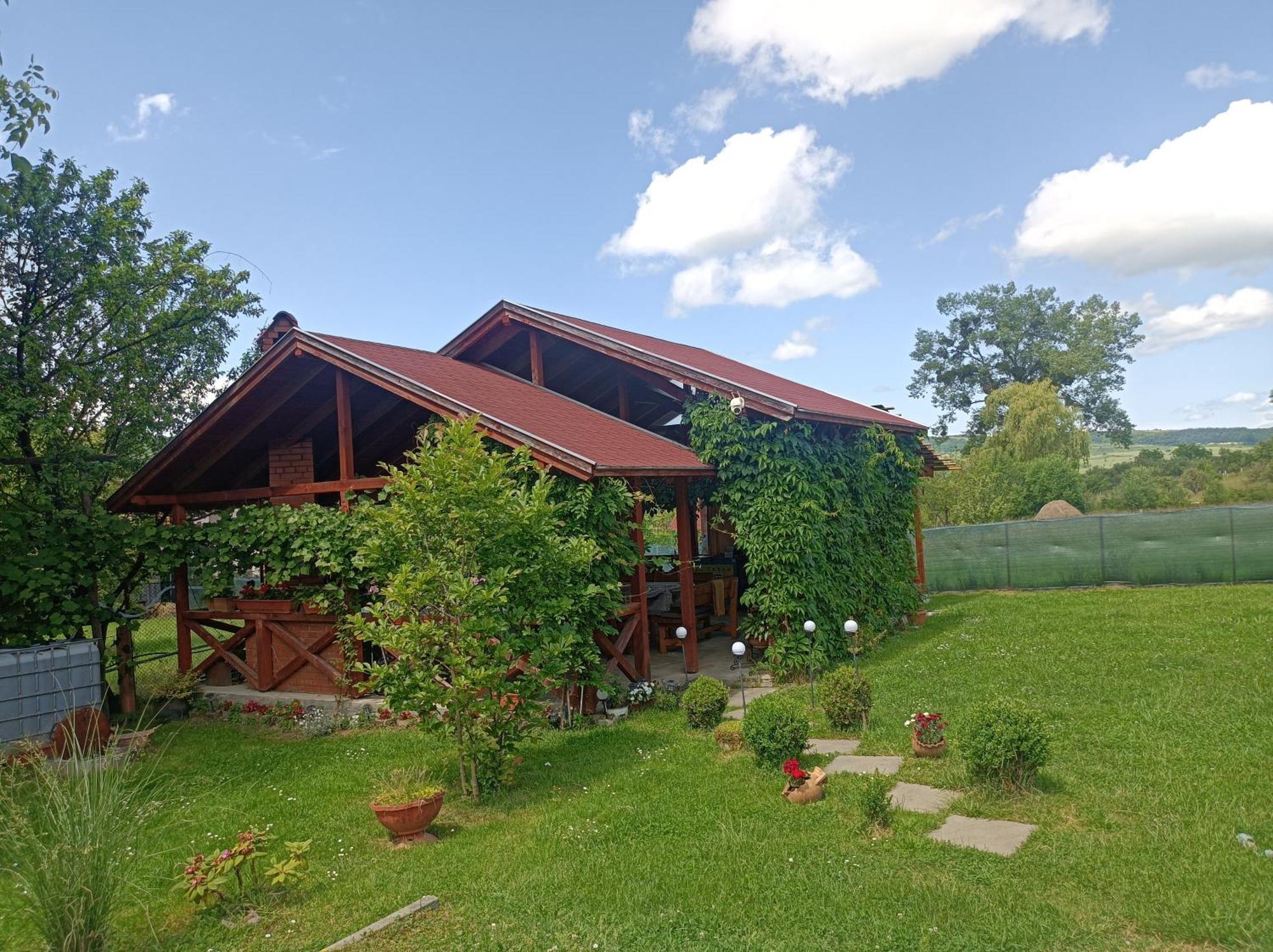 Nárcisz B&B Corund  Exterior foto