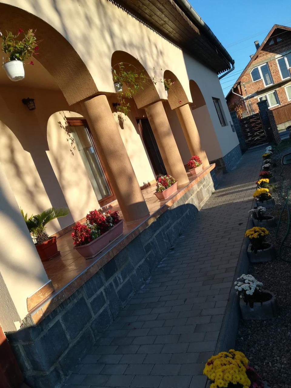 Nárcisz B&B Corund  Exterior foto