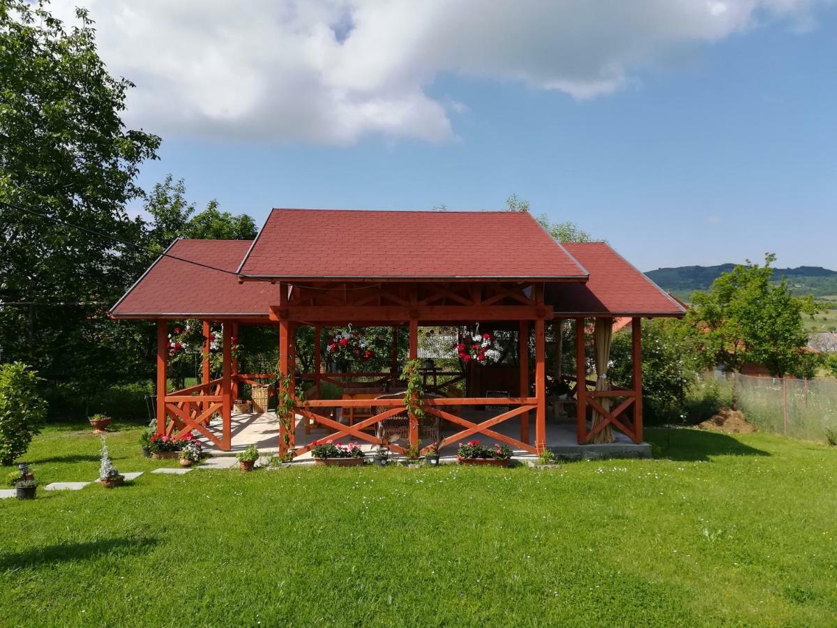 Nárcisz B&B Corund  Exterior foto