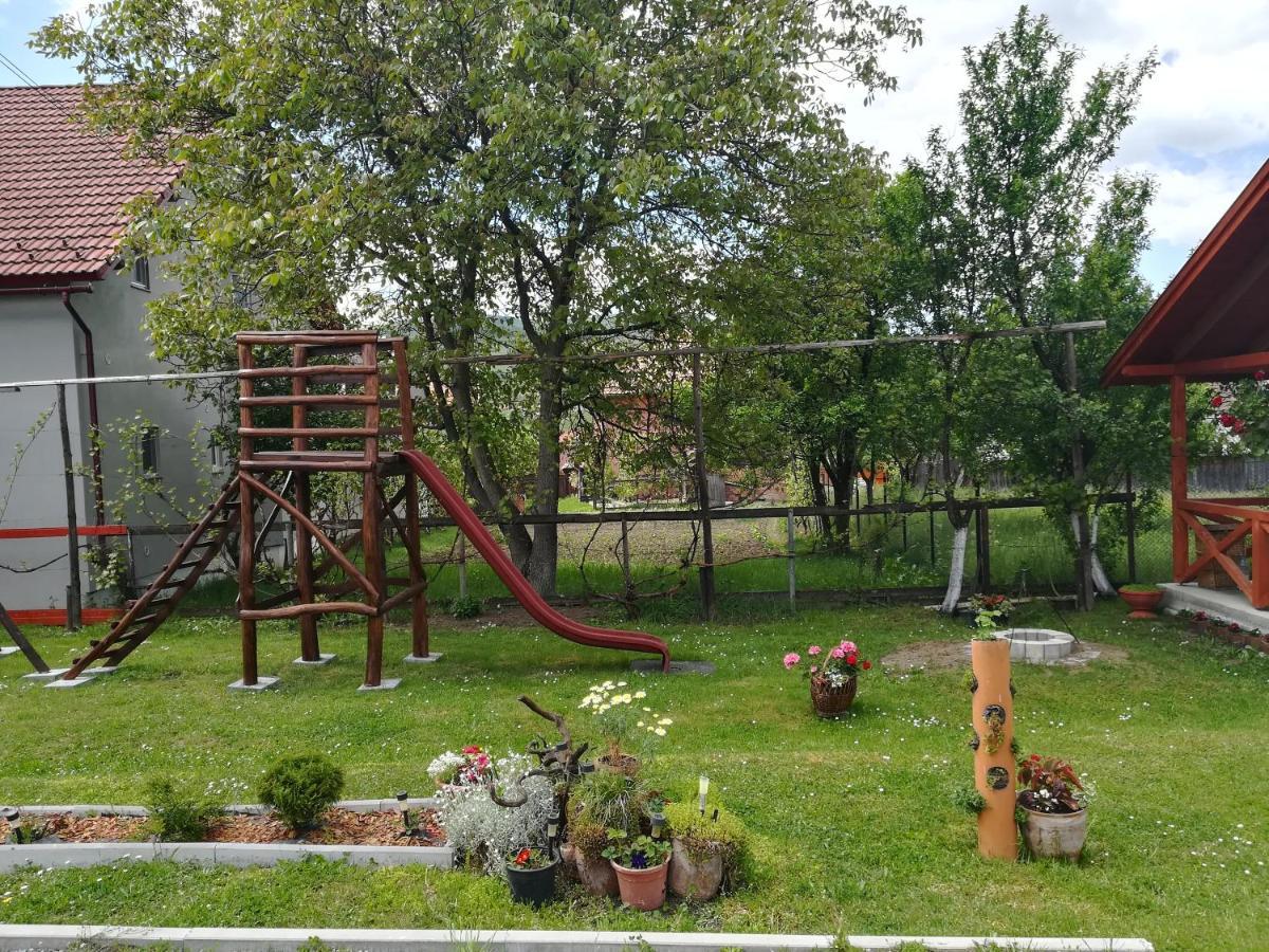 Nárcisz B&B Corund  Exterior foto